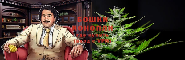 бошки Богданович